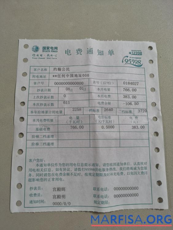 Printable China State Grid Corporation of China (SGCC) electricity utility bill photolook real example